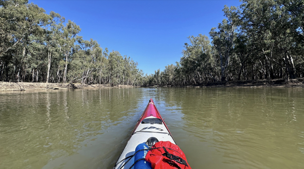 Paddling the Murray River 